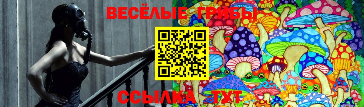 Заинск  как найти   Галлюциногенные грибы Cubensis  Вход с VPN  Псилоцибиновые грибы прущие грибы 