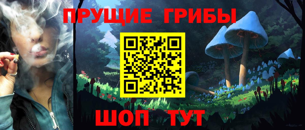 Псилоцибиновые грибы мицелий Заинск